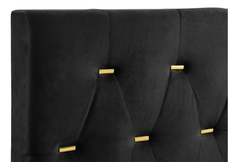 Kendall Tufted Panel Queen Bed Black And Gold