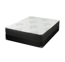 Freya 11.5″ Eastern King Mattress White And Black