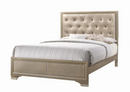 Beaumont Upholstered Queen Bed Champagne.